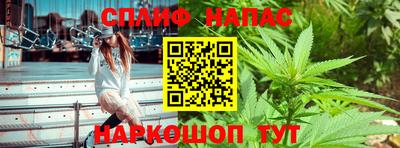 спиды Гусев