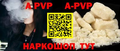 спиды Гусев