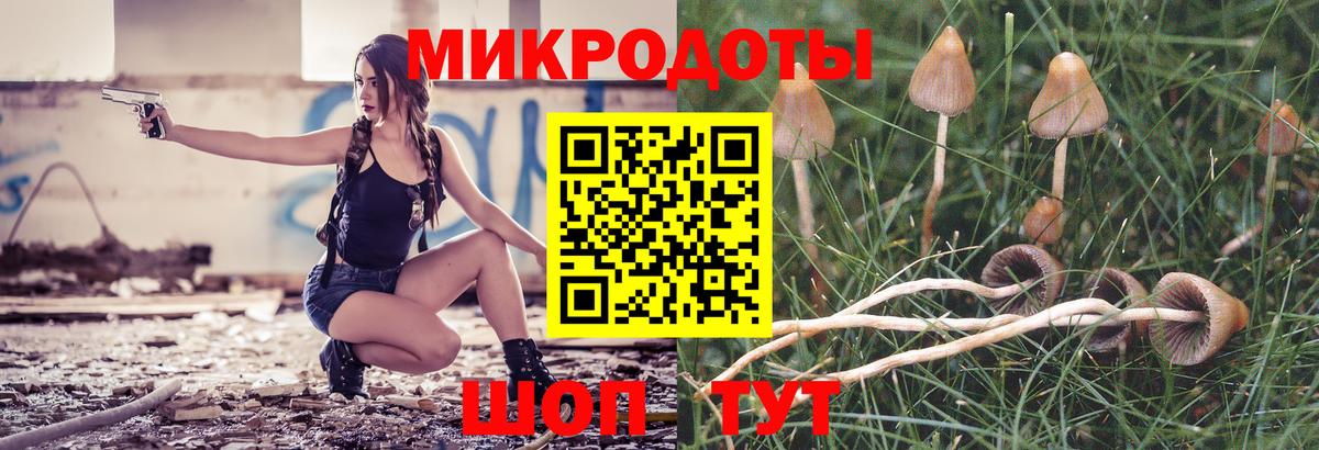 Галлюциногенные грибы ЛСД Шелехов