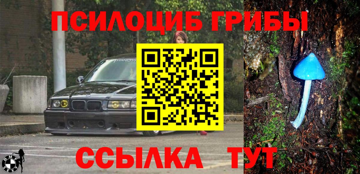 Псилоцибиновые грибы MAGIC MUSHROOMS  где купить наркоту  Шелехов  Вход с VPN 